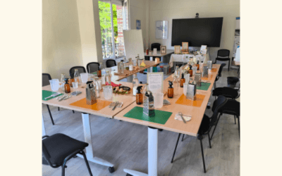 Événements d’entreprise : développement durable et QVCT, deux leviers stratégiques