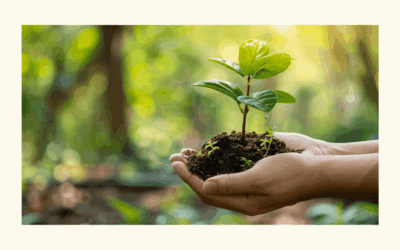 Journée mondiale de l’environnement : Agir concrètement avec Maït’éco