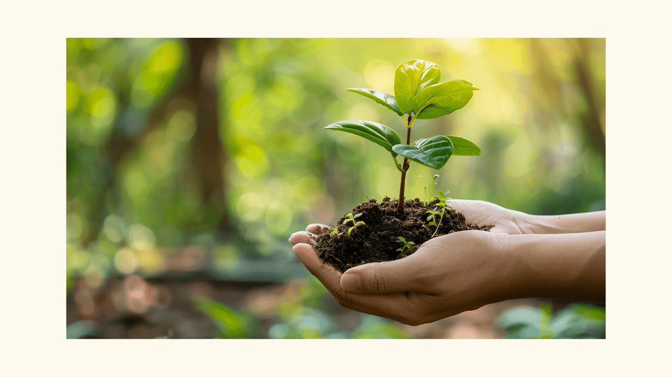 journée mondiale de l’environnement avec maite co journée mondiale de l'environnement avec maite co
