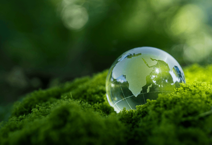 calendrier rse et developpement durable mait'éco